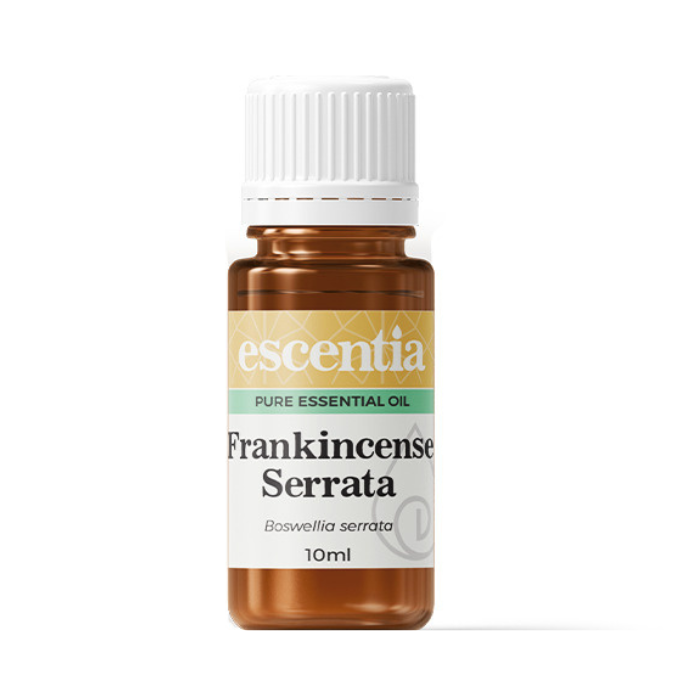 Escentia Frankincense Serrata Essential Oil – A calming, earthy oil known for its anti-inflammatory and rejuvenating properties, 10ml bottle.