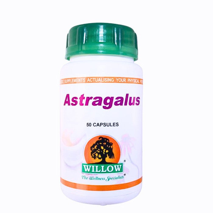 Willow Astragalus is a natural immune-support supplement traditionally used to enhance energy levels, strengthen immunity, and promote overall vitality.