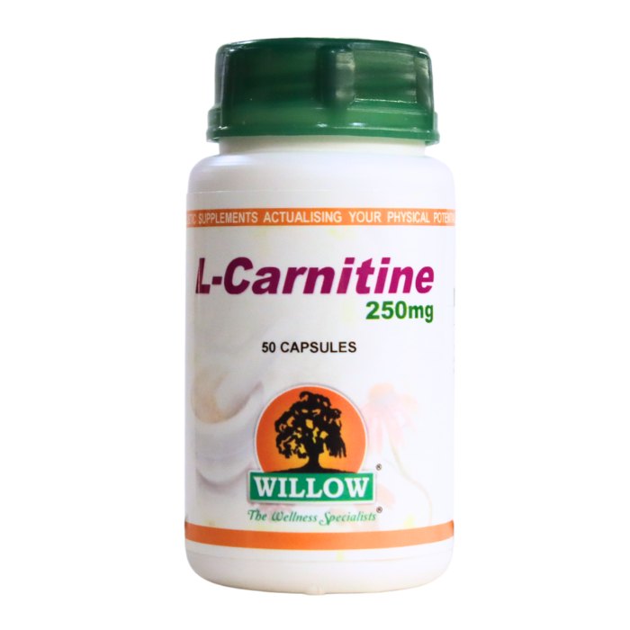 Willow L-Carnitine 250mg 50 Capsules – dietary supplement supporting energy production, fat metabolism, and physical performance.