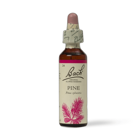 BACH Pine Flower Essence - THE GOOD STUFF