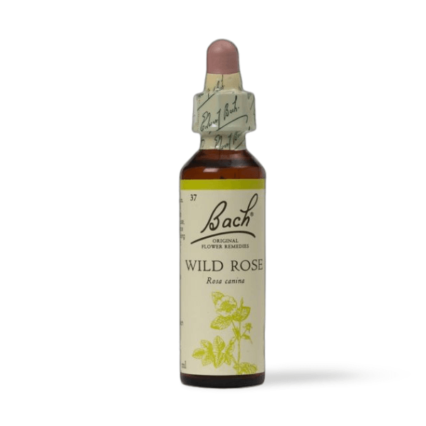 BACH Wild Rose Flower Essence - THE GOOD STUFF