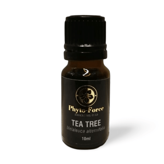 PHYTO FORCE Tea Tree Essential Oil - THE GOOD STUFF