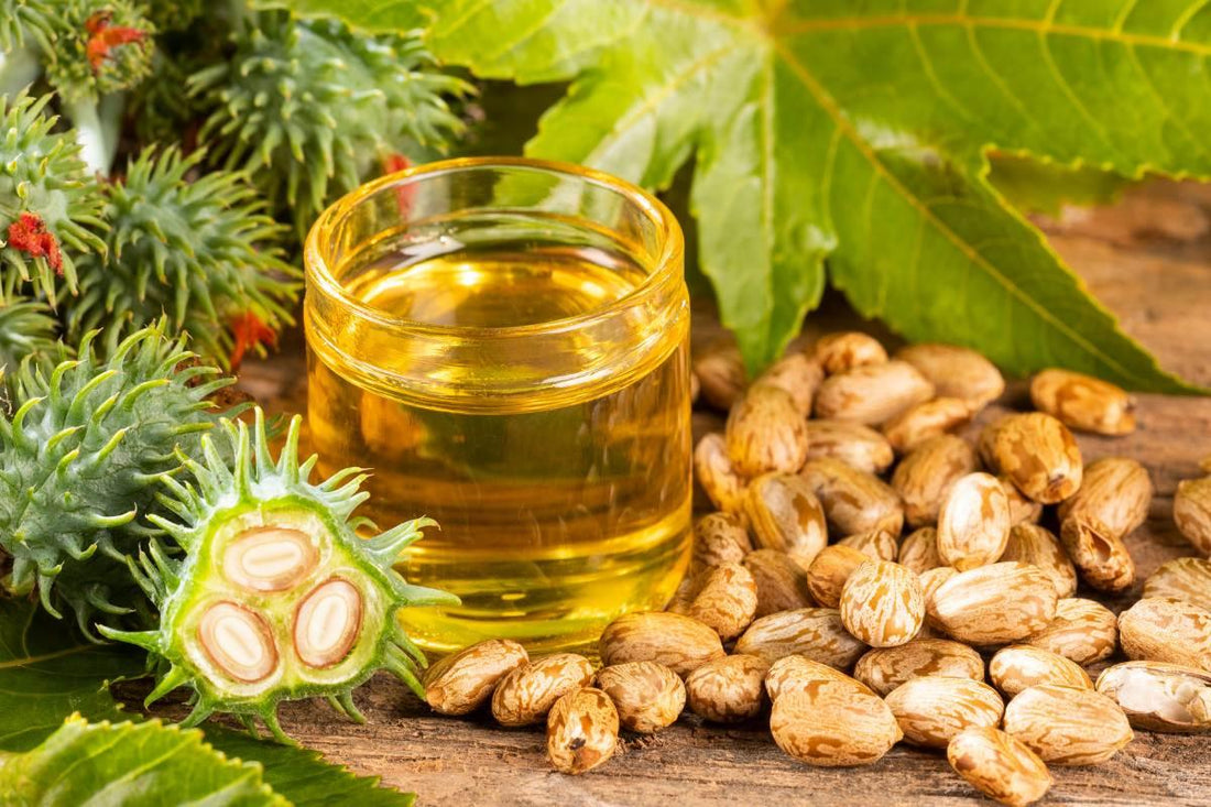 100% Organic Castor Oil - Unlock Nature's Secret to Healthy Hair and Skin with The Good Stuff