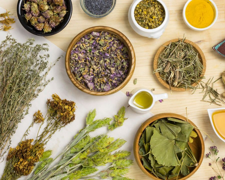 Herb Shop Near Me – bowls of dried herbs, leaves, and spices on a wooden table with oil and flowers; natural remedy ingredients.
