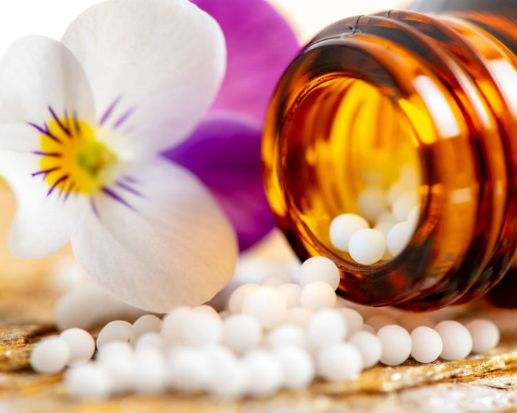 Amber glass bottle of homeopathic pellets beside a viola flower – alternative medicine concept.