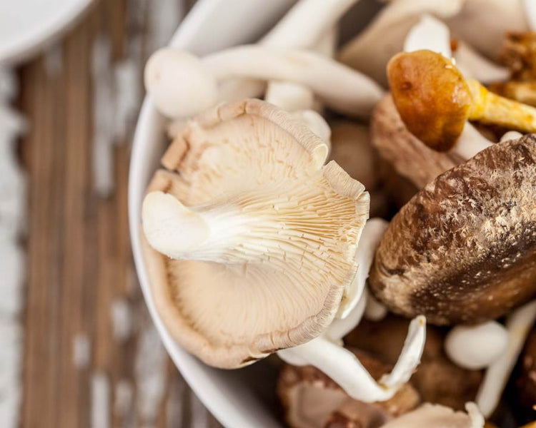 Close-up of assorted mushrooms in a white bowl, including oyster and shiitake.