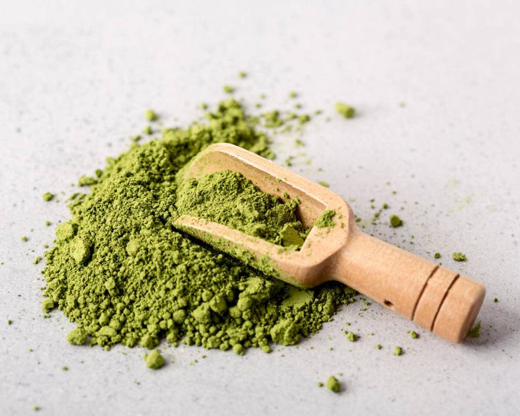 Moringa powder with wooden scoop on light surface – The Good Stuff superfood supplement collection