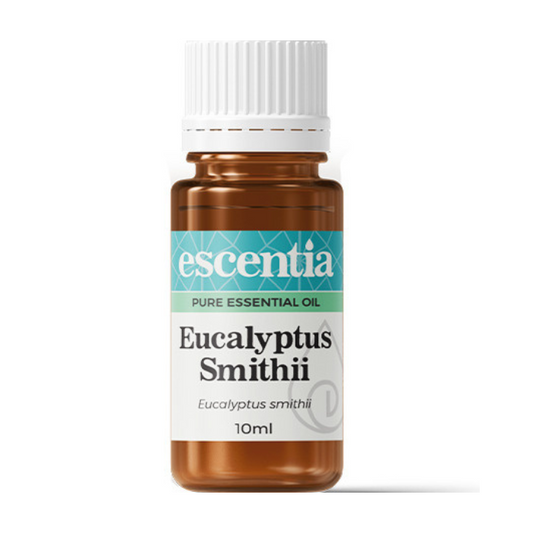Escentia Eucalyptus Essential Oil – A refreshing, invigorating oil with antiseptic and decongestant properties, ideal for aromatherapy, 10ml bottle.