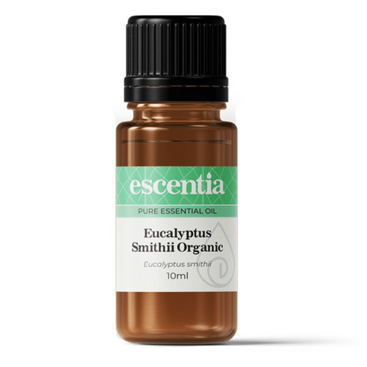 Escentia Eucalyptus Smithii Organic Essential Oil – Pure, refreshing oil for respiratory health, immune support, and air purification, 10ml bottle.