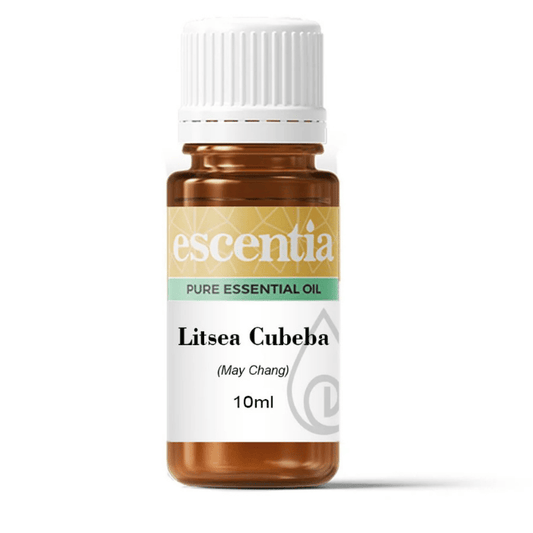 Escentia Litsea Cubeba Essential Oil – A refreshing citrus oil for uplifting moods, balancing skin, and natural deodorising, 10ml bottle.