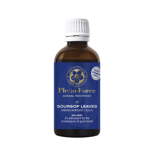 PHYTO FORCE Soursop Tincture offers natural support for immune strength digestion restful sleep and inflammation in a clean liquid form.