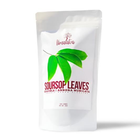 VIMALATVA Soursop Leaves - Graviola