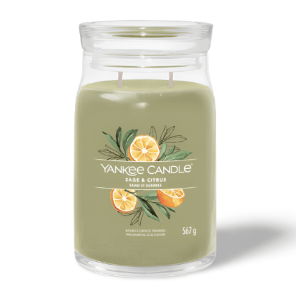 YANKEE Sage & Citrus Signature Candle with earthy sage, lavender and citrus notes in a modern glass jar for fresh, calming ambiance